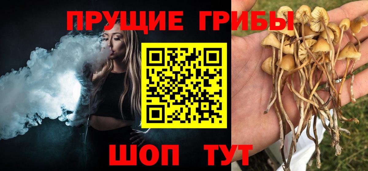 Меф мяу мяу Дедовск