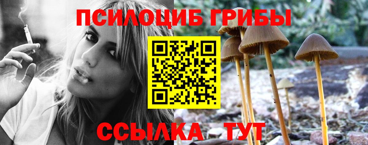 Дедовск  наркошоп  Вход с VPN  Псилоцибиновые грибы мицелий 